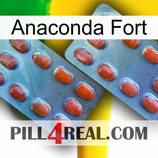Anaconda Strong 05